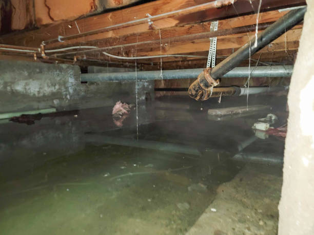 Best Emergency water damage restoration  in Cramerton, NC