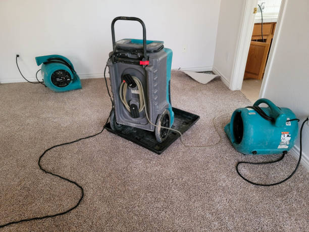 Best Water damage restoration cost  in Cramerton, NC