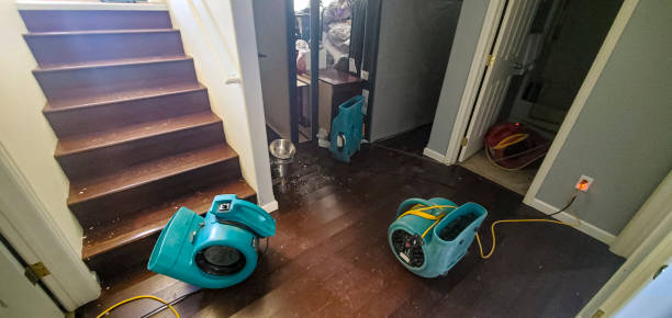 Best Water damage restoration mold remediation  in Cramerton, NC