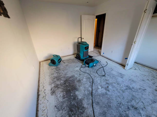 Best Water damage cleanup near me  in Cramerton, NC