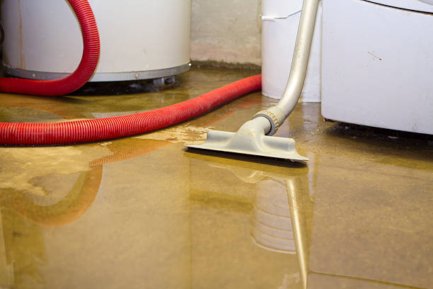 Best Water damage restoration near me  in Cramerton, NC