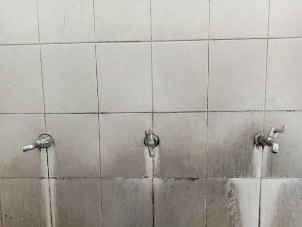 Best Flood restoration services  in Cramerton, NC