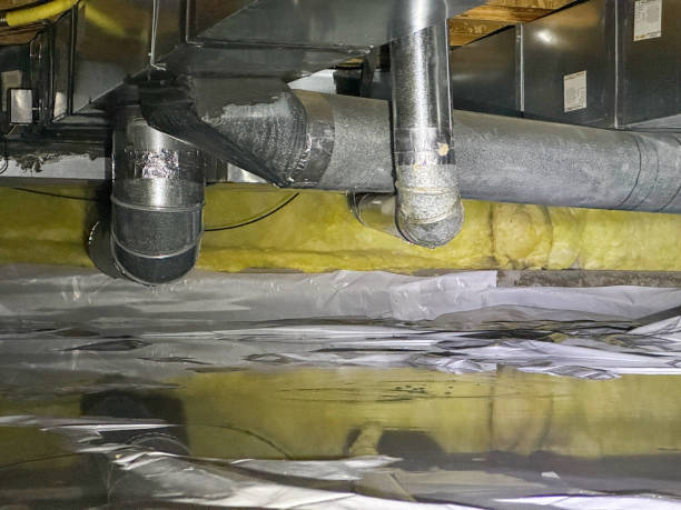 Best Carpet water damage restoration  in Cramerton, NC