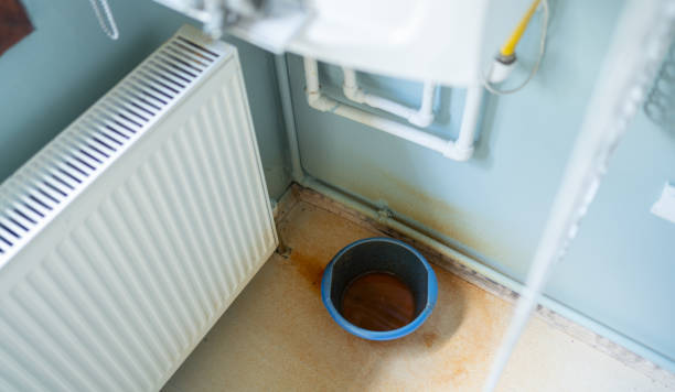 Best Mold removal after water damage  in Cramerton, NC