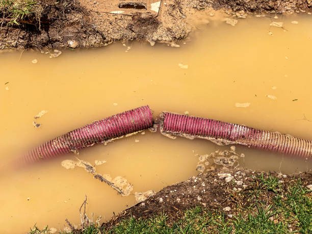 Local water damage restoration in Cramerton, NC