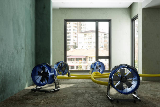 Best 24/7 water damage repair  in Cramerton, NC